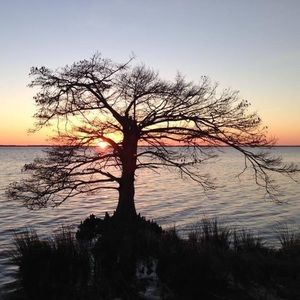 Meet your Posher, Shelly